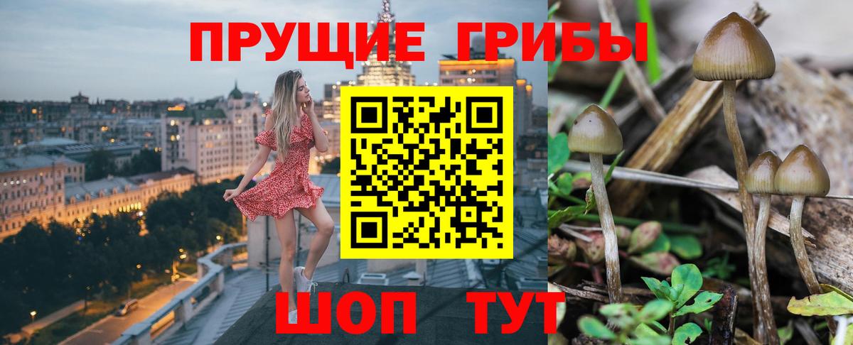 Галлюциногенные грибы ЛСД  Вход с VPN  Элиста 